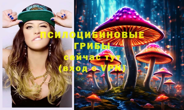 mix Белокуриха