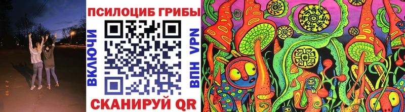 Псилоцибиновые грибы Psilocybine cubensis  Новочеркасск 